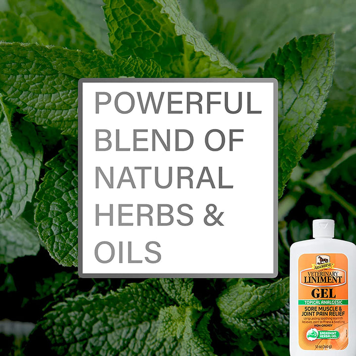 Veterinary Liniment Topical Analgesic Sore Muscle and Arthritis Pain Relief Warming Liniment Rub, 12 Ounce Gel