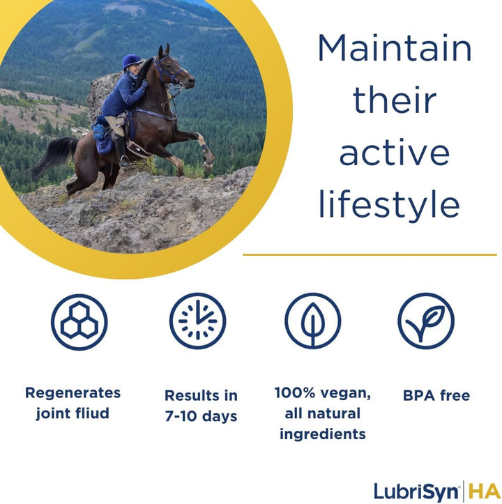 Hyaluronic Acid + MSM Joints Supplement, 16Oz: Natural Pure HA Liquid Dog and Cat Joint & Cartilage Support, Relief, and Lubrication for Pets Including Dogs, Cats and Horses, Vegan Formula