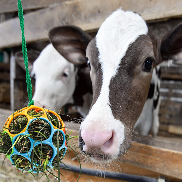 2 Pack Horse Treat Ball Hay Feeder Toy, Goat Feeder Ball Hanging Feeding Toy for Horse Goat Sheep Relieve Stress (Colorful)