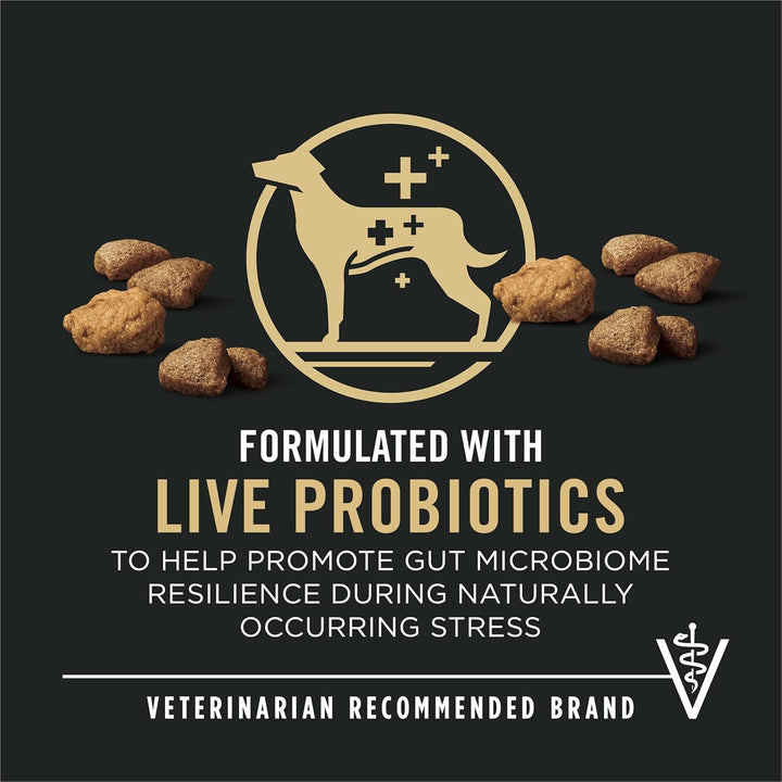 Complete Essentials Shredded Blend Salmon and Rice Dog Food Dry Formula with Probiotics for Dogs - 33 Lb. Bag