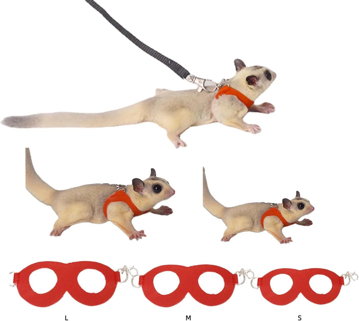 Sugar Glider Harness & Leash Set - Escape-Proof 3-Piece Adjustable Vest for Squirrels Rats Mice Mouse & Small Animals - Hamster Gerbil Walking Gear, Pet Toy Accessories, Black