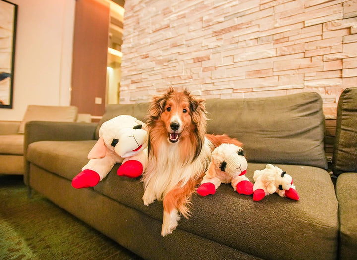 Lambchop Plush Dog Toy 24" with Squeaker Color:White 24" Size:Pack of 1