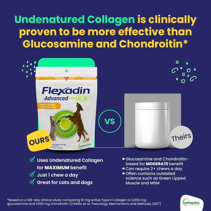 Flexadin Advanced Hip and Joint Supplement with Undenatured Collagen for Dogs, One Chew a Day Hip and Joint Support Chew for Dogs and Cats, Clinically Proven Vet-Approved Formula, 60 Chews