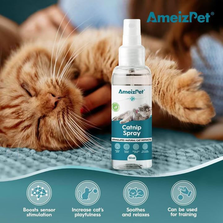 Catnip Spray for Cats, Cat Scratching Sprays, Transparent Cat & Kitten Behaviour Spray 50 Ml (1.69 Oz)
