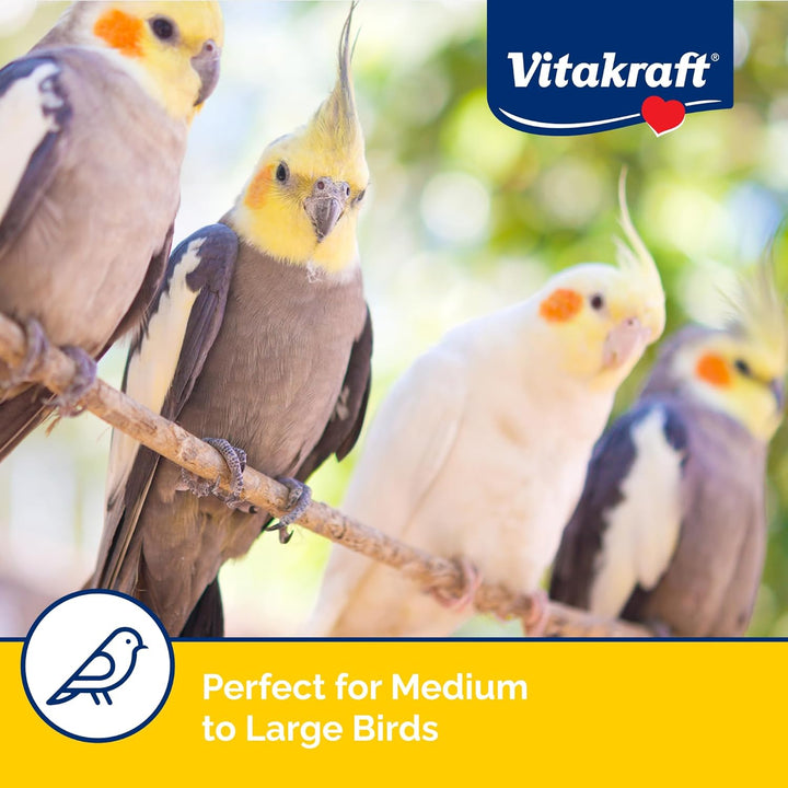 Fresh Super Fruit Cocktail - Tropical Parrot Fruit Blend - Parrot and Parakeet Treats