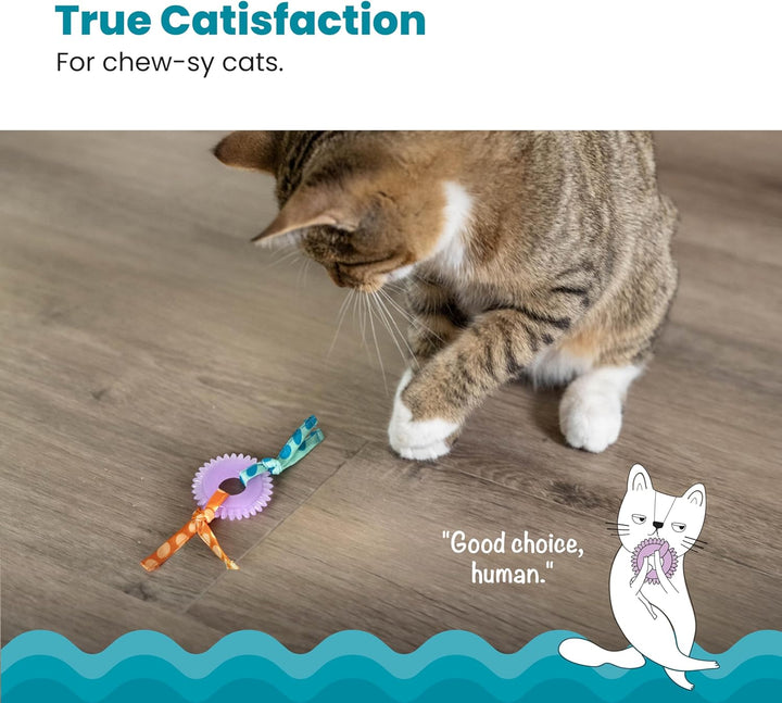 Kitty Chew Wheel, Dental Cat Toy with Catnip Oil, Teeth Cleaning, Healthy Chewing, Boredom Relief, Kicking & Batting for Kittens and Adult Cats, Purple