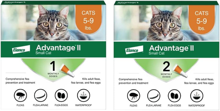 II Small Cat Vet-Recommended Flea Treatment & Prevention | Cats 5-9 Lbs. | 2-Month Supply