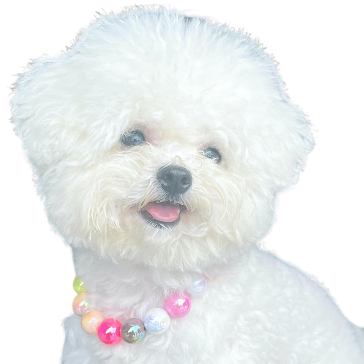 Dogs Necklace,Pet Fashion Necklace, Colorful Beaded Necklace,Pet Jewelry,Vibrant Candy-Colored Pet Jewelry Necklace for Cats and Dogs(12.6-14.57 Inches)