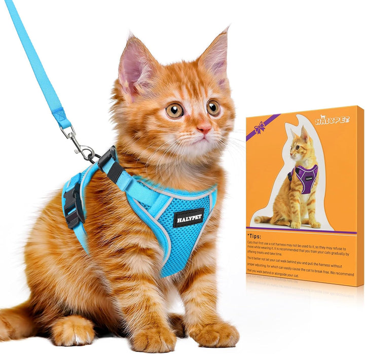 Cat Harness and Leash Set - MAX Safety 4Th-Gen Upgrade, Escape Proof, Adjustable, Comfortable Soft Vest, Easy to Wear Kitten Harness with Reflective Strip for Cats Walking - Small Black