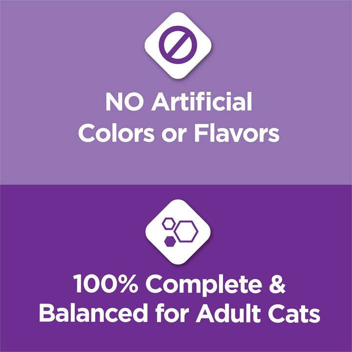 Gentle Sensitive Stomach and Skin Dry Cat Food with Turkey - 13 Lb. Bag