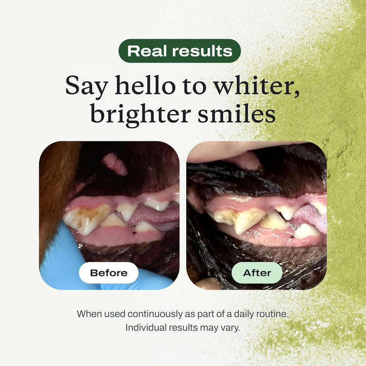 Probright Dental Powder - Dog Breath Freshener - Teeth Cleaning Made Easy – Targets Tartar & Bad Breath - Formulated for Small Dogs - Packaging May Vary