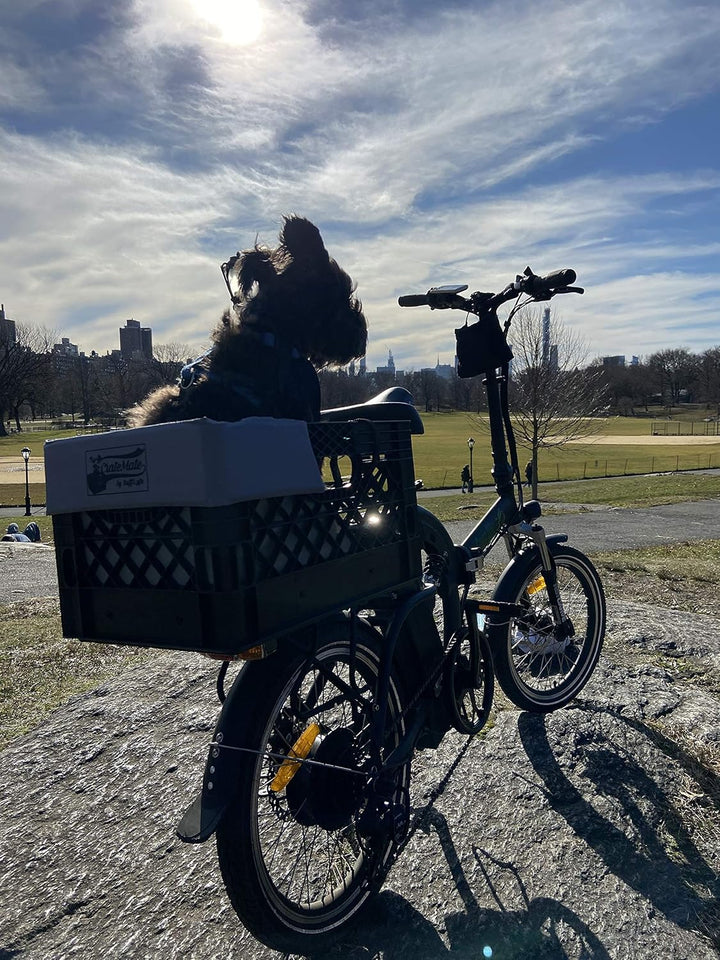 DIY Conversion/Bike Dog Carrier Package (Crate NOT Included) Padded Liner Is 2 Sizes in One + 4 Point Safety Harness & Heavy Duty Fasteners Holds Pets 20Lb+ for Safe Pet Bicycle Travel