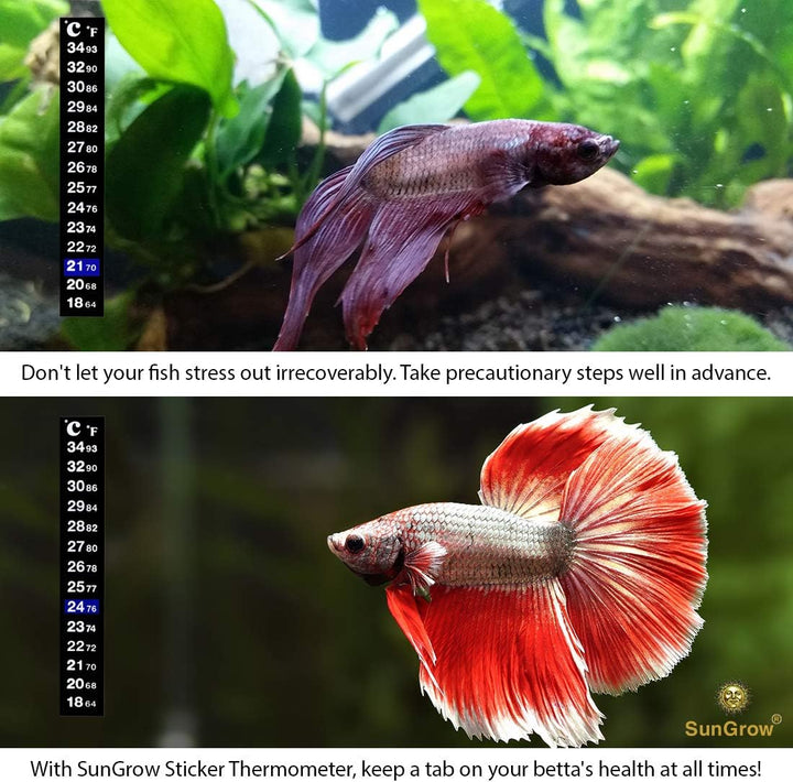 Betta Fish Tank Thermometer Stick On, Aquarium Temperature Sticker Strip, 5.2 X 0.7 Inches, Green & Blue Temperature Indicator, Amphibian and Reptile Thermometer Sticker, Black, 1 Pc
