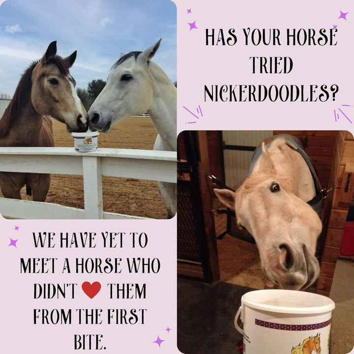 Horse Treats - 2 Lb Pail - Effortlessly Give Medications with Our Soft Baked Treats - Training Treats Are the Perfect Motivator - No Additives or Preservatives
