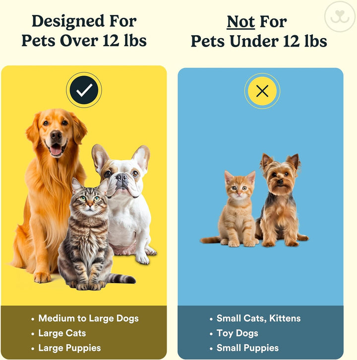 Dog Toothbrush, 360 Dog Tooth Brushing Kit, Finger Toothbrush, Cat Tooth Brush, Teeth Cleaning, Pet Tooth Brush for Small & Large Pets, Pet Toothpaste Not Included, 2-Pack Blue