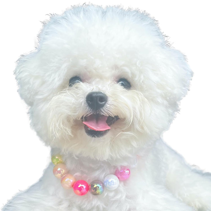 Dogs Necklace,Pet Fashion Necklace, Colorful Beaded Necklace,Pet Jewelry,Vibrant Candy-Colored Pet Jewelry Necklace for Cats and Dogs(12.6-14.57 Inches)