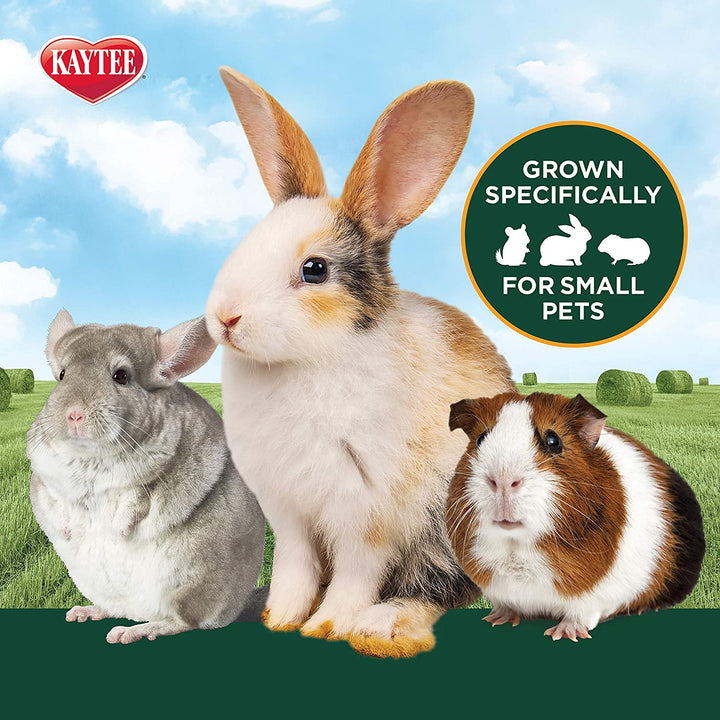 Wafer Cut All Natural Timothy Hay for Pet Guinea Pigs, Rabbits & Other Small Animals, 60 Ounce