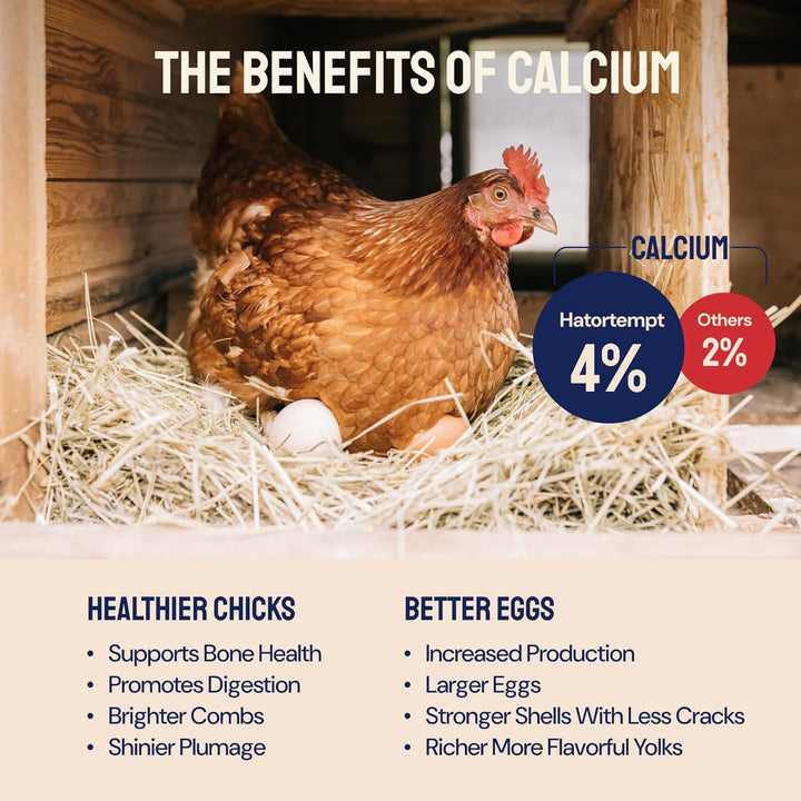 Chicken Feed & Treats - 10 Lb Non-Gmo Bulk Larvae & Grubs - High-Protein Food for Laying Hens & Poultry - Grubs & Worms for Chickens & Bluebird Food - Calcium-Rich Supplement