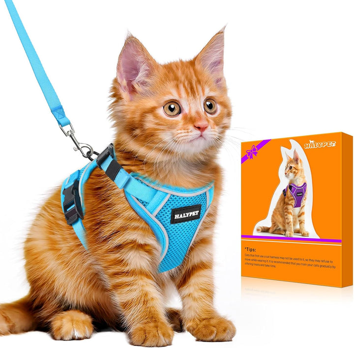 Cat Harness and Leash Set - MAX Safety 4Th-Gen Upgrade, Escape Proof, Adjustable, Comfortable Soft Vest, Easy to Wear Kitten Harness with Reflective Strip for Cats Walking - Small Black