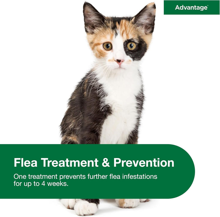 Topical Cat Flea Treatment and Prevention for Small Cats 2-9 Lbs. | Apply Flea Drops Monthly | 2 Treatments