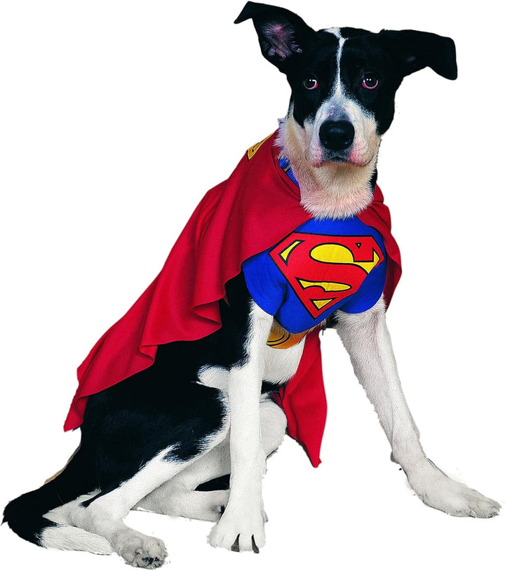 DC Comics Superheroes: Superman Pet Costume for for Dogs or Cats by , XL