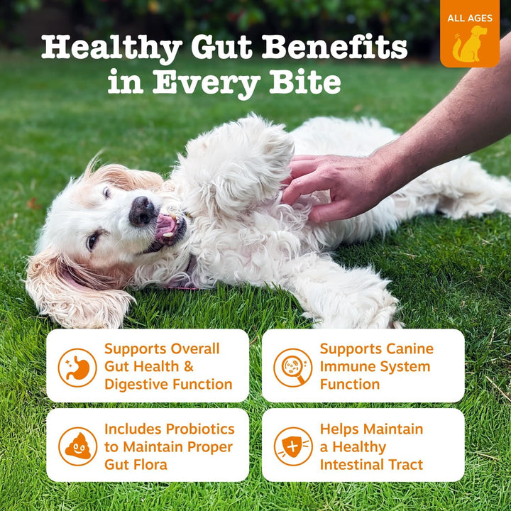 Probiotics for Dogs - Digestive Enzymes for Gut Flora, Digestive Health, Diarrhea & Bowel Support - Clinically Studied DE111 - Dog Supplement Soft Chew for Pet Immune System - Pumpkin