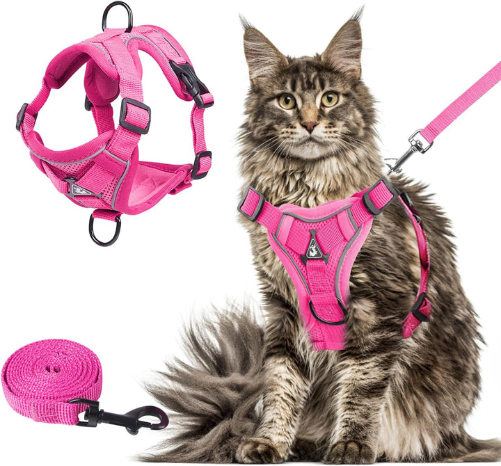 Cat Chest Harness and Leash, Anti-Escape Adjustable Soft Mesh Cat Leash and Chest Harness Set for All Types of Cats Cat Vests (Grey, 11.02-16.5Lb)