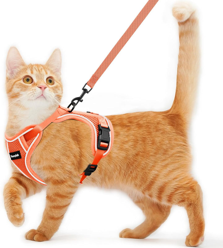Cat Harness and Leash for Walking Escape Proof Soft Adjustable Cat Leash Breathable Comfortable Vest Easy to Wear Kitten Harness for Outdoor Travel Black S