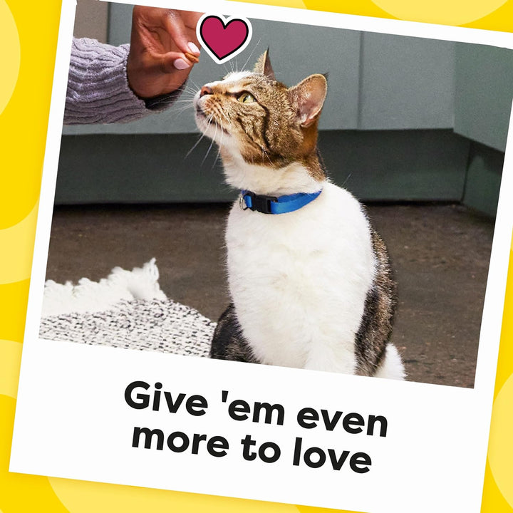 Jumbo Stuff Crunchy and Soft Cat Treats, Tasty Chicken Flavor, 14 Oz. Tub