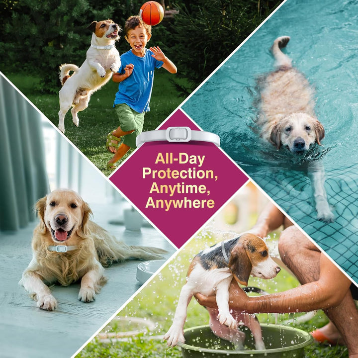 Natural Flea and Tick Collar for Dogs - 4 Pack, 8 Months Long-Lasting Protection, Waterproof, Adjustable Size for Small Medium and Large Dog