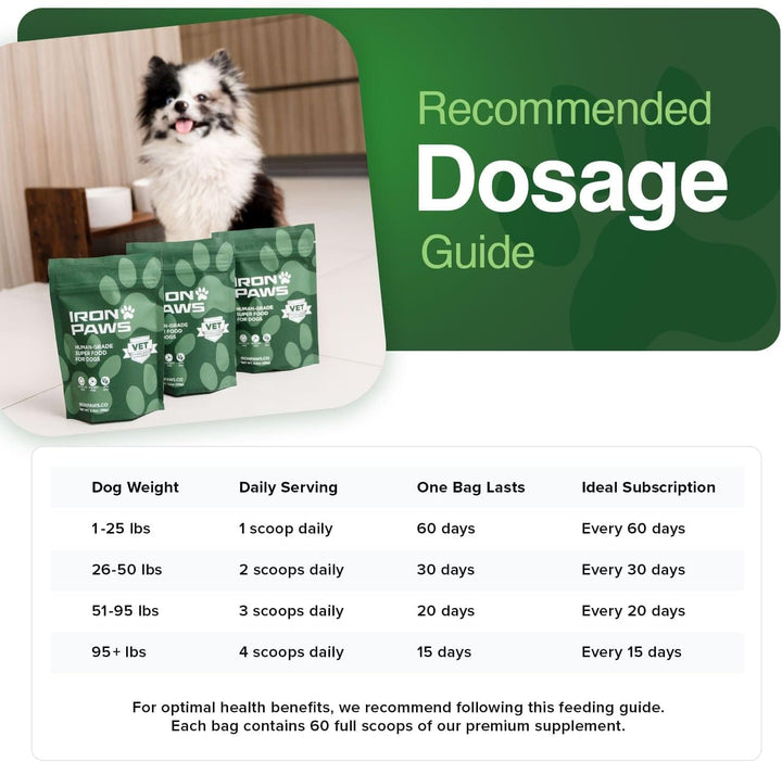 Human-Grade Superfood for Dogs, Premium Greens Powder Supplement for Dental Health, Longevity, Hip & Joint, Gut Health, Allergies, Immune Support, Skin & Coat - 3.5 Oz Nutrient Dense Formula