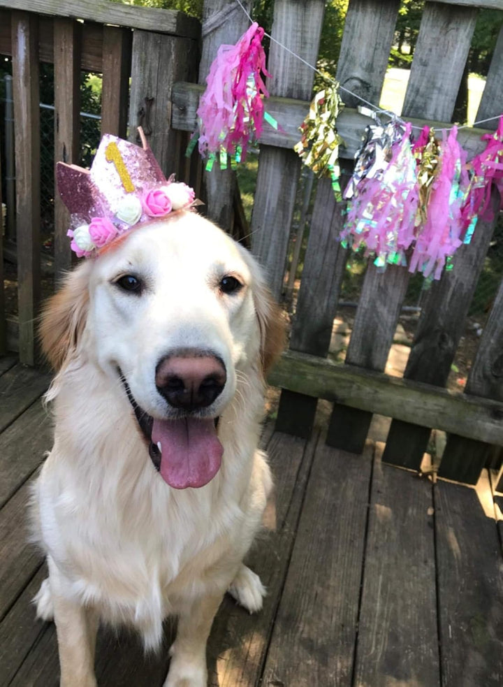 Pink Crown Dog Birthday Party Hat for Girls Reusable Birthday Party Cat Kitten Headband with 0-9 Figures Charms Grooming Accessories with Glue Pack of 1