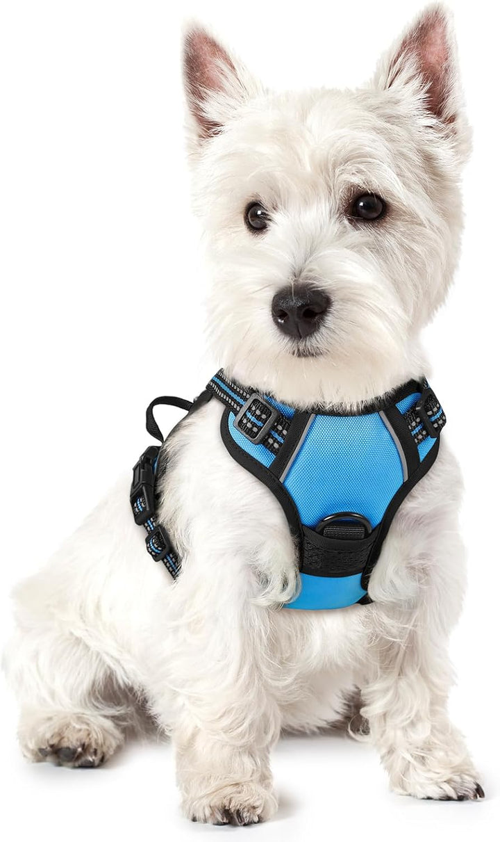 Dog Harness No Pull with 2 Leash Clips, Adjustable Soft Padded, Reflective Oxford No Choke Pet Vest with Easy Control Handle for Large Dogs, Black, L