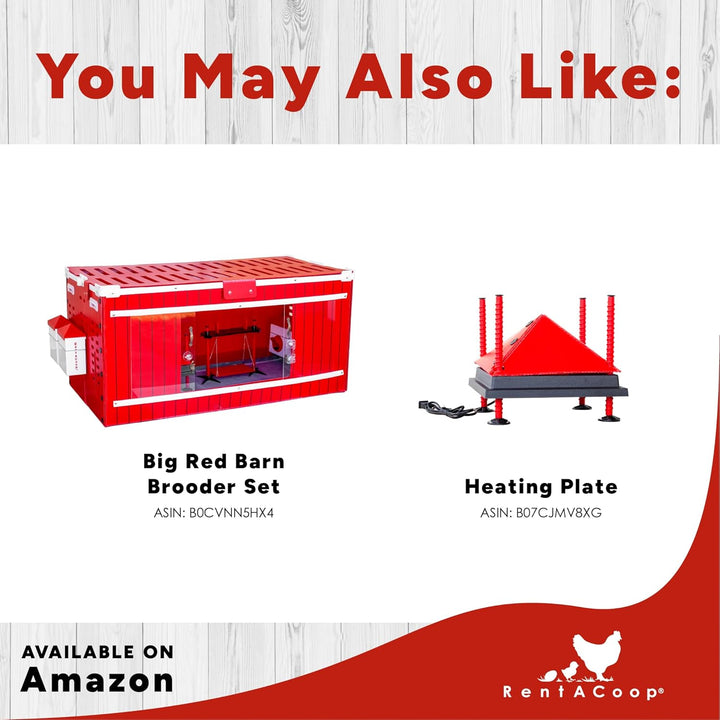 Hatchling Liners for Big Red Barn Pack of 12 - Odor-Control Chick Brooder Pads - Absorbent, Leakproof Bedding for Baby Chicks, Ducklings, and More (Big Red Barn Pack of 12)