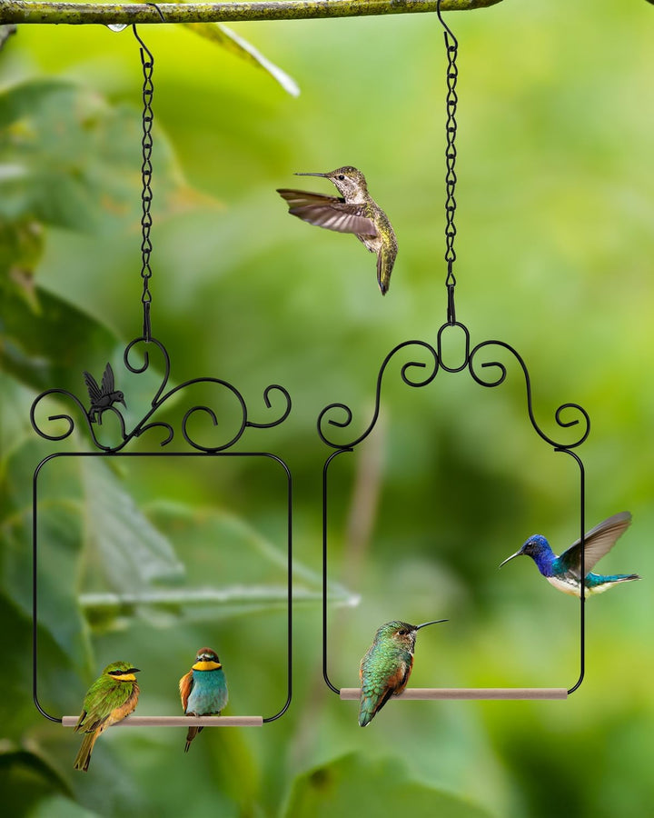 Hummingbird Swings and Perches Metal Frame 2 Pack, Wild Bird Swing Outdoor Bird Perch with Wooden Dowel and 2 Hanging Chain for Hanging Indoor, Outdoor, Trunk, Lawn, Patio, Garden (Black)