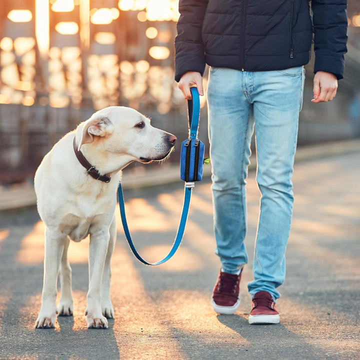 Dog Poop Bag Holder for Leashes - Dog Poop Bag Dispenser and Treat Holder with 2 Waterproof Pouches for Pet Waste Bags and Walking Accessories + 1 Free Roll -  (Black)