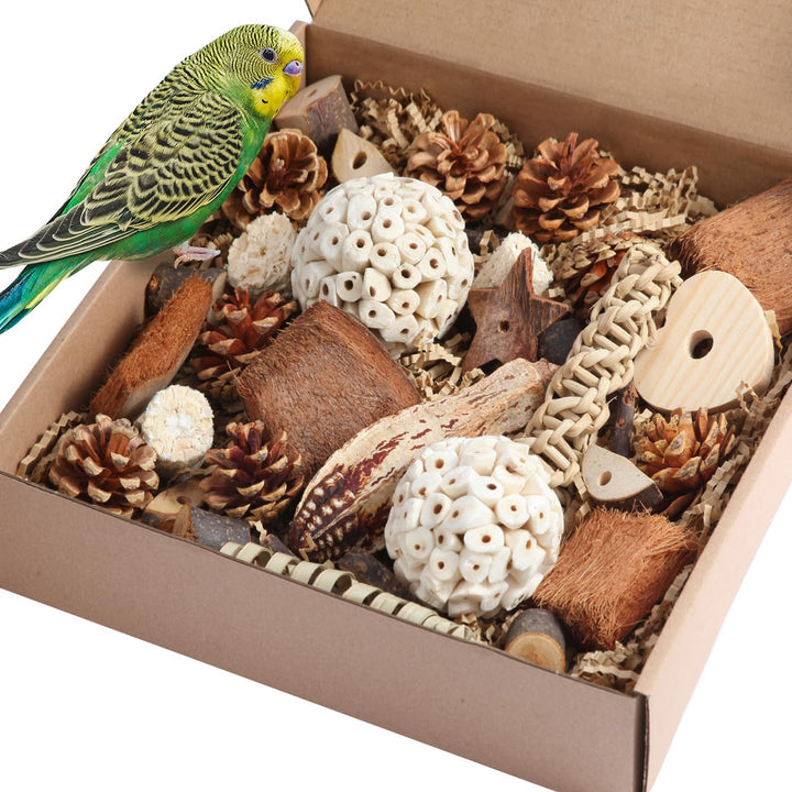 Bird Toys Parrot Toys Natural Bird Foraging Box Foot for Parakeets,Cockatiels,Conures,Love Birds,And Other Small to Medium Birds (Medium)