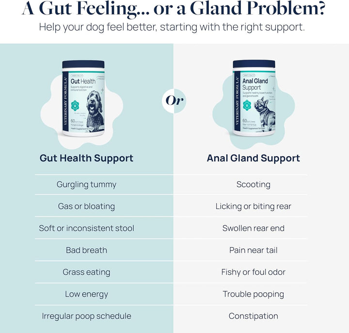 Anal Gland Support for Dogs – Vet-Formulated No Scoot Chews with Pumpkin, Ginger, Agave Inulin & Probiotics – Supports Scooting, Stool Quality & Digestive Health, 60 Soft Chews