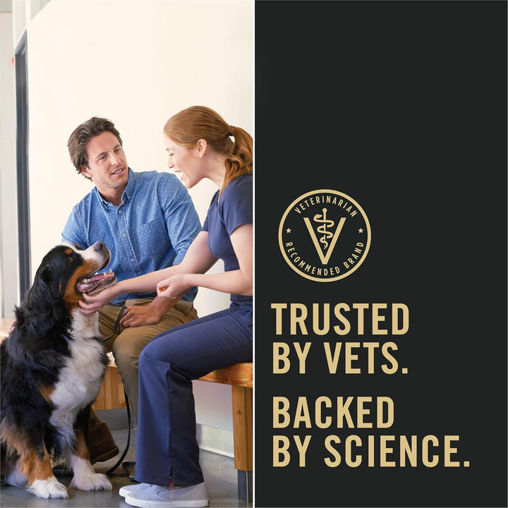 Large Breed Dry Puppy Food, Chicken and Rice Formula - 34 Lb. Bag