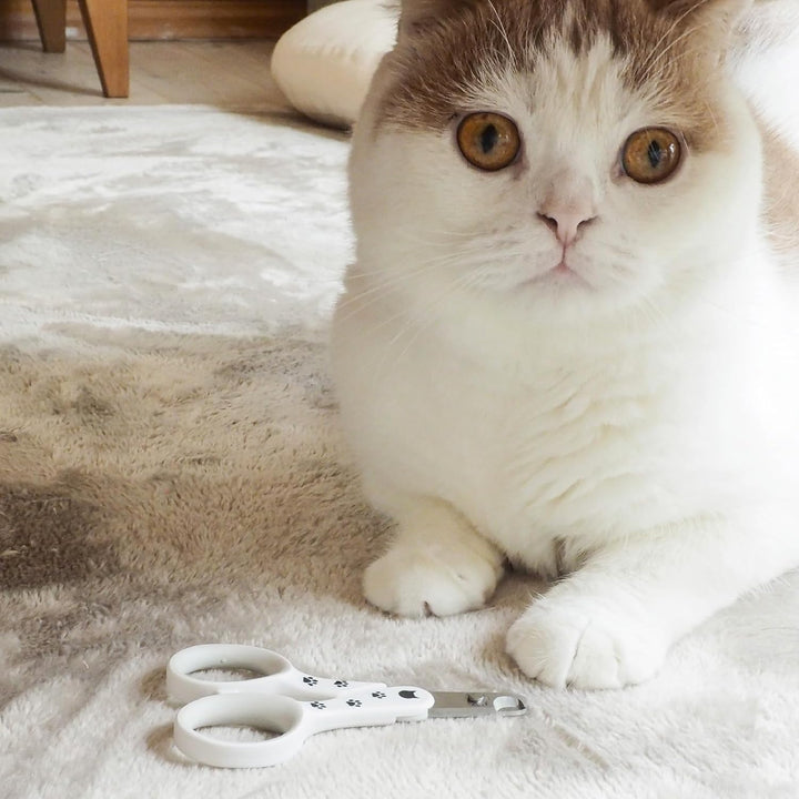 Purrcision Feline Cat Nail Clippers Stress-Free, Expertly Crafted in Japan, Neater, Easier, Safer, 30% Thinner Blades, No.1 Seller in Japan!