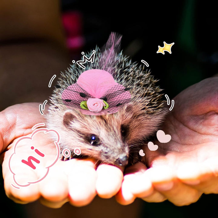 6 Pieces Chicken Hats for Hen Mini Chicken Helmet Accessories Feather Top Funny Small Hat Funny with Adjustable Elastic Chin Strap for Animal Costume (Fresh Color, Classic Style)