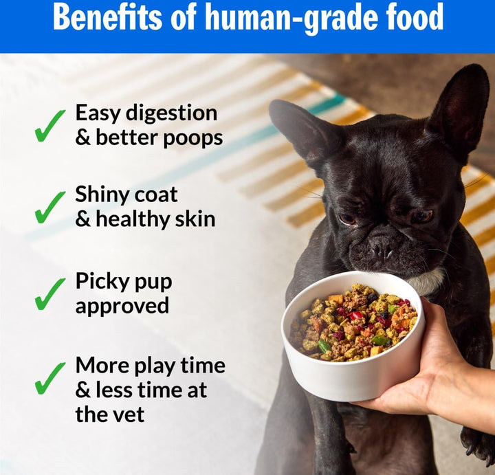 Human-Grade Fresh Dog Food, Lean & Mean Venison Entrée – Wet Dog Food for All Breeds – High-Protein, Natural – 12-Oz Cups, Case of 6