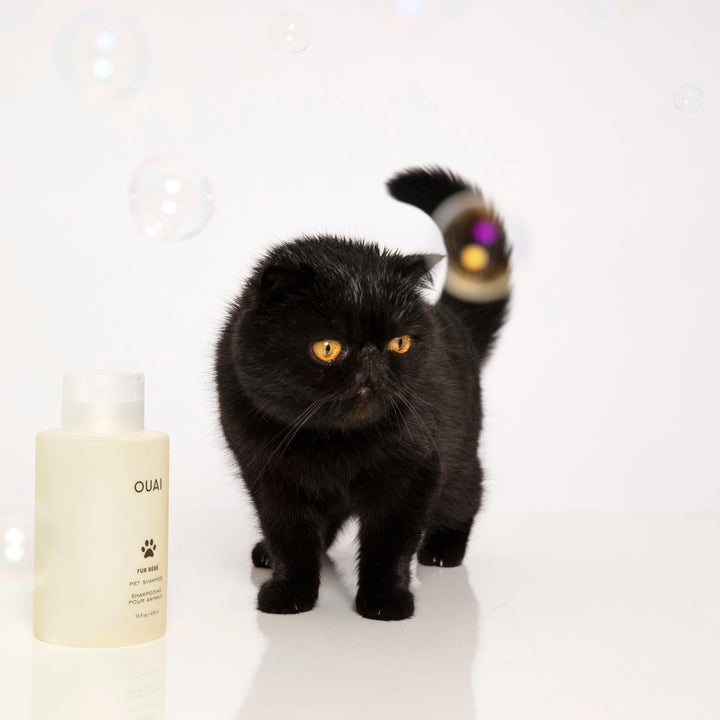 Fur Bébé Pet Shampoo, Mercer Street Scent - Dog Shampoo and Coat Wash for Hydrating, Cleansing and Adding Shine - Pet Supplies by  (16 Fl Oz)