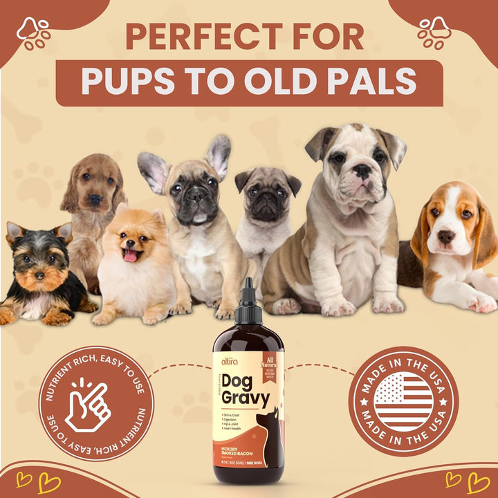 Everyday Dog Gravy Bacon – Premium Wet Dog Food Gravy Toppers for Dry Food – Tasty & Nutritious Dogs Gravy with Essential Vitamins and Supplements – Hip and Joint Supplement