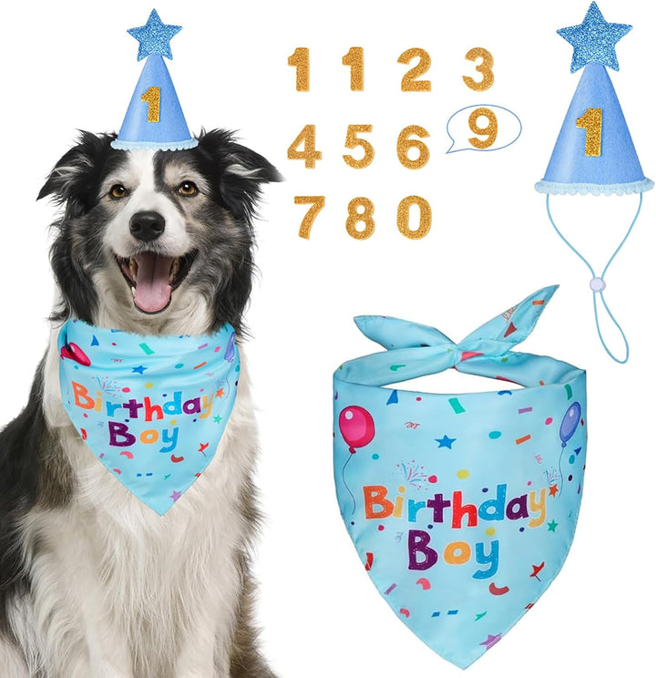 Dog Birthday Party Supplies, Dog Birthday Bandana Set, Dog Boy Girl Birthday Party Hat with Numbers for Large Medium Small Dogs Pet (Blue)