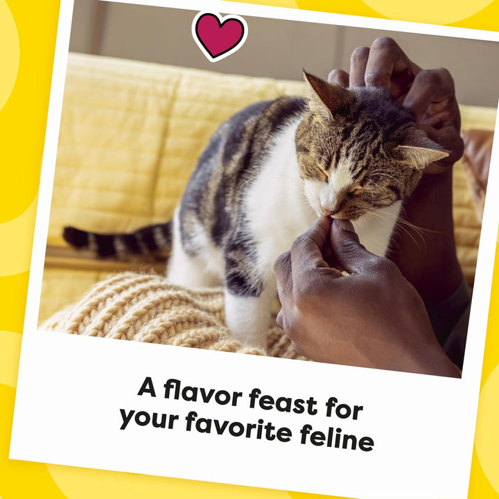 Mixups Surfer'S Delight Flavor Crunchy and Soft Cat Treats, 16 Oz. Tub