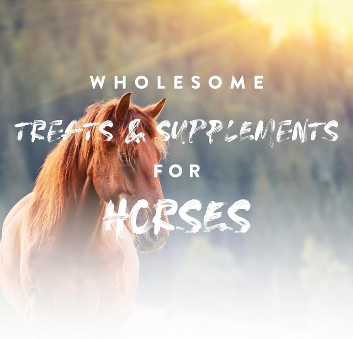 Nutrigood Senior Snax Horse Treats - Apple Flavor Baked Easy-Chew Equine Snack with Glucosamine, Omega-3 & Biotin for Joint, Hoof & Coat Support (Senior Horses) – 2 Lb Bag