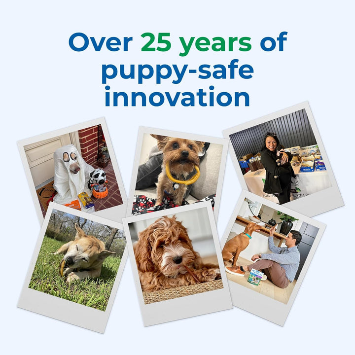 Puppy Teething Sticks Pumpkin Flavor, 3.74-Oz Bag