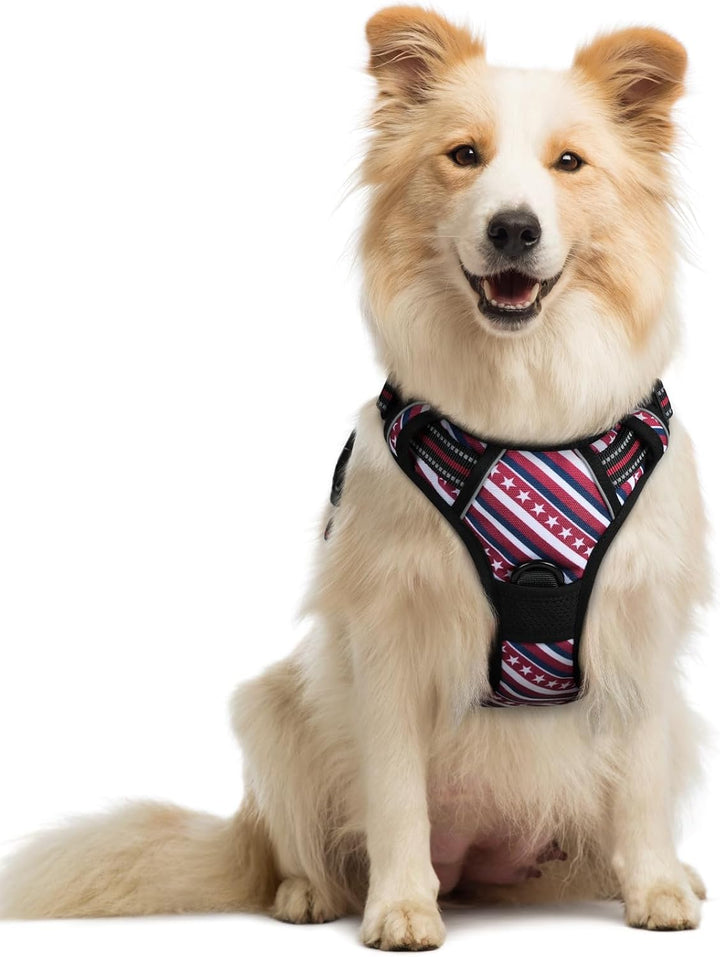 Dog Harness No Pull with 2 Leash Clips, Adjustable Soft Padded, Reflective Oxford No Choke Pet Vest with Easy Control Handle for Large Dogs, Black, L