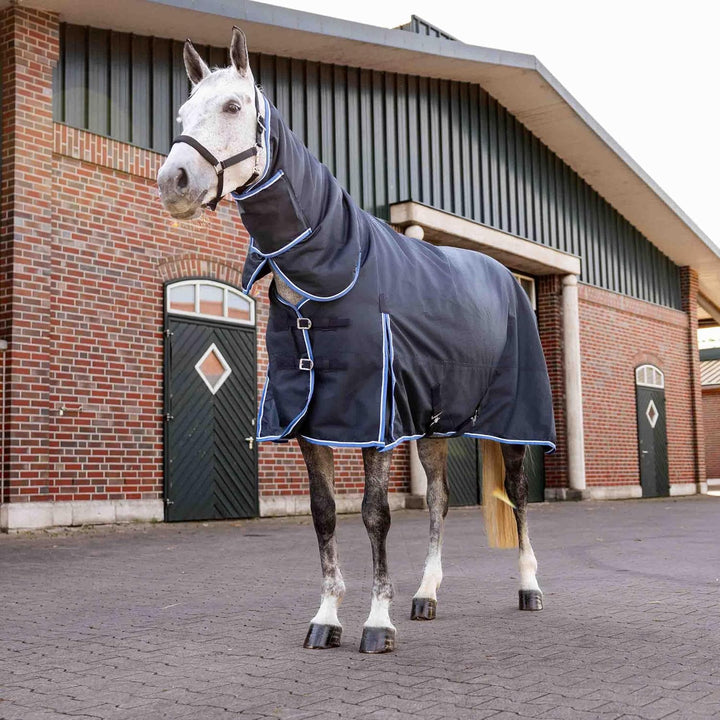 Glasgow Heavy Weight Winter Turnout (400G Fill) | Waterproof Combo Horse Blanket with Neck Cover - Dark Blue - 78 In